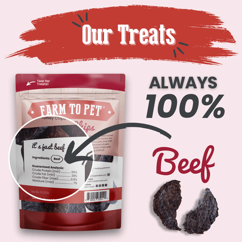 Friandises pour chiens aux copeaux de bœuf | Friandises saines à ingrédient unique pour chiens