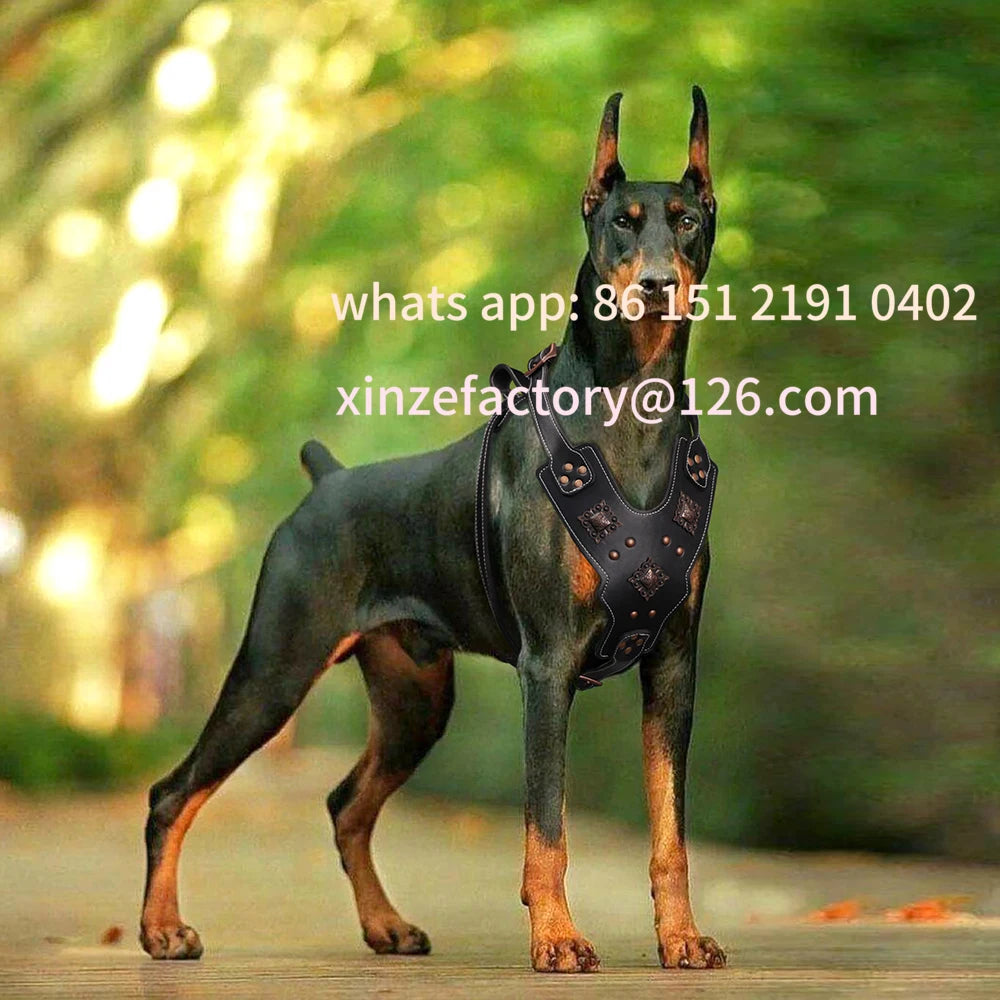 Customizable per cani in vera pelle imbracature per cani di taglia grande durevoli rivettate gilet da addestramento