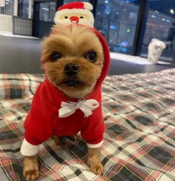 Festive Pet Holiday Sweater - Stylish Christmas Day Clothing For Pets