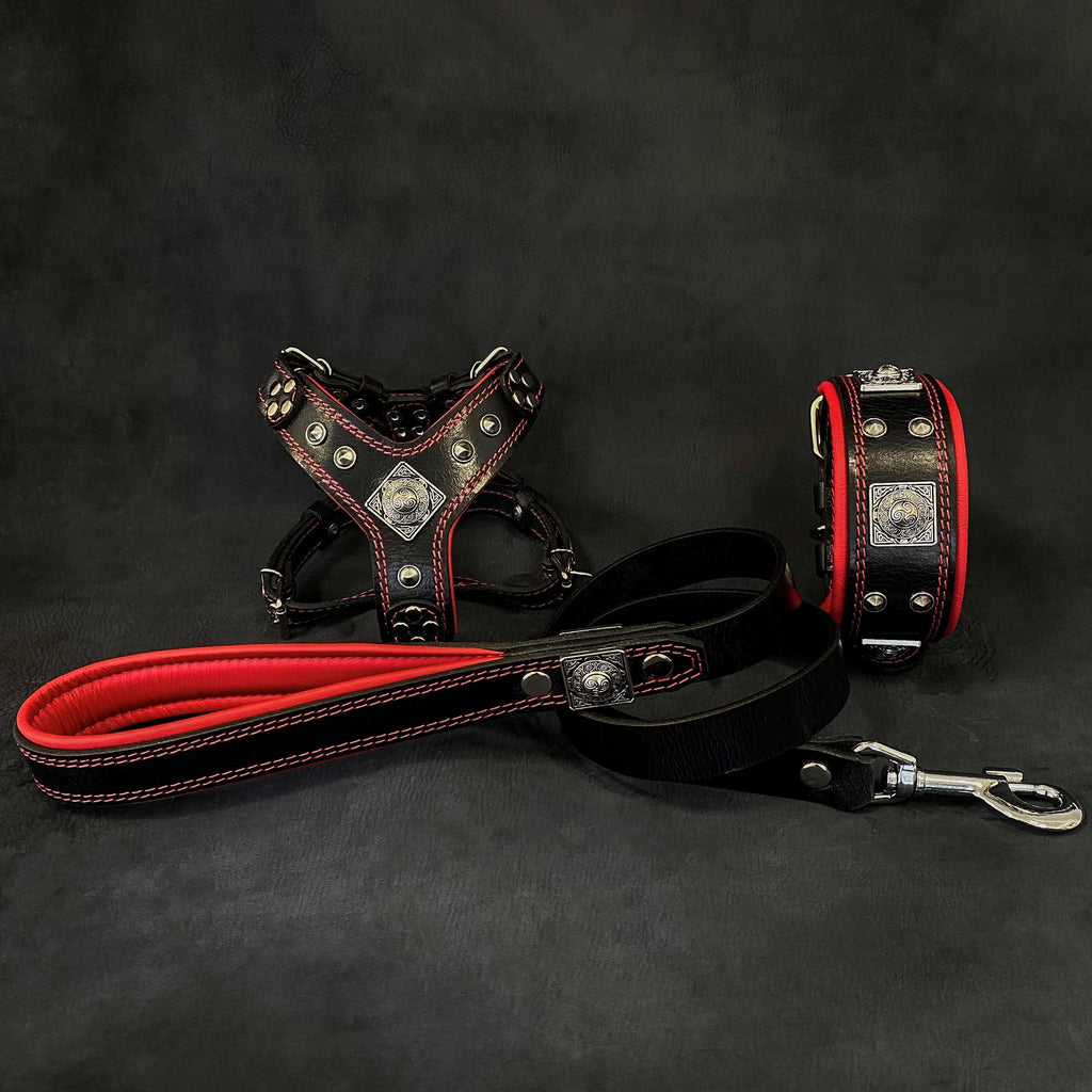 "EROS" Set für kleine bis mittelgroße Hunde - Geschirr - Halsband - Leine Schwarz&Rot