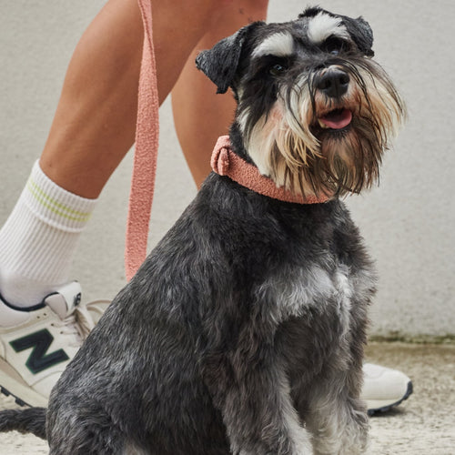 Adjustable Dog Leash – Durable & Comfortable Walking Lead